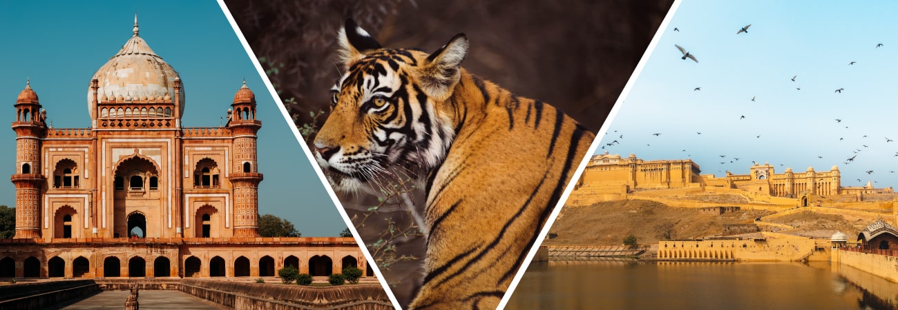 Golden Triangle Tour With Ranthambore