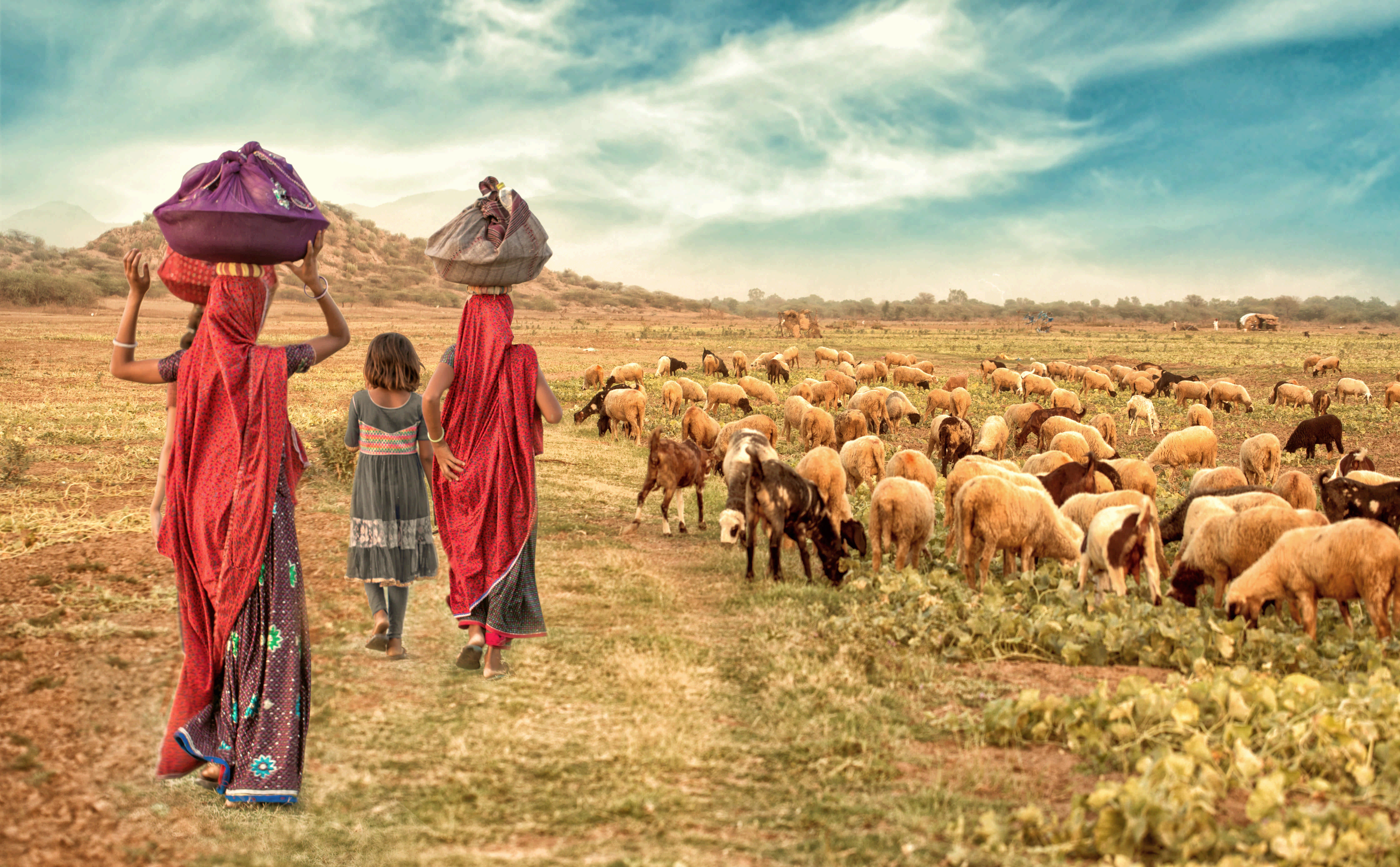Rural Village Rajasthan